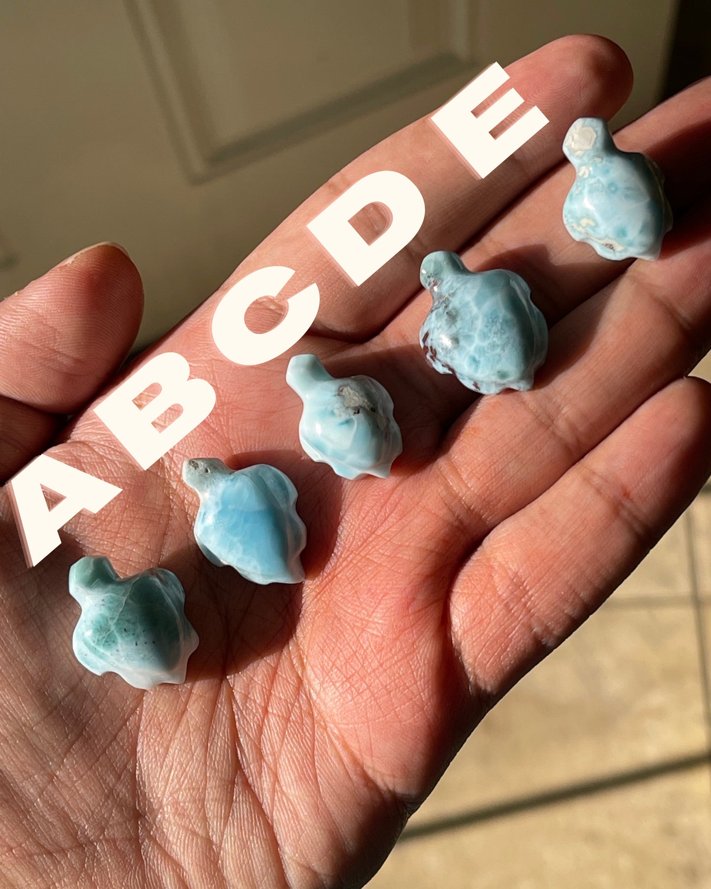 Larimar Turtles