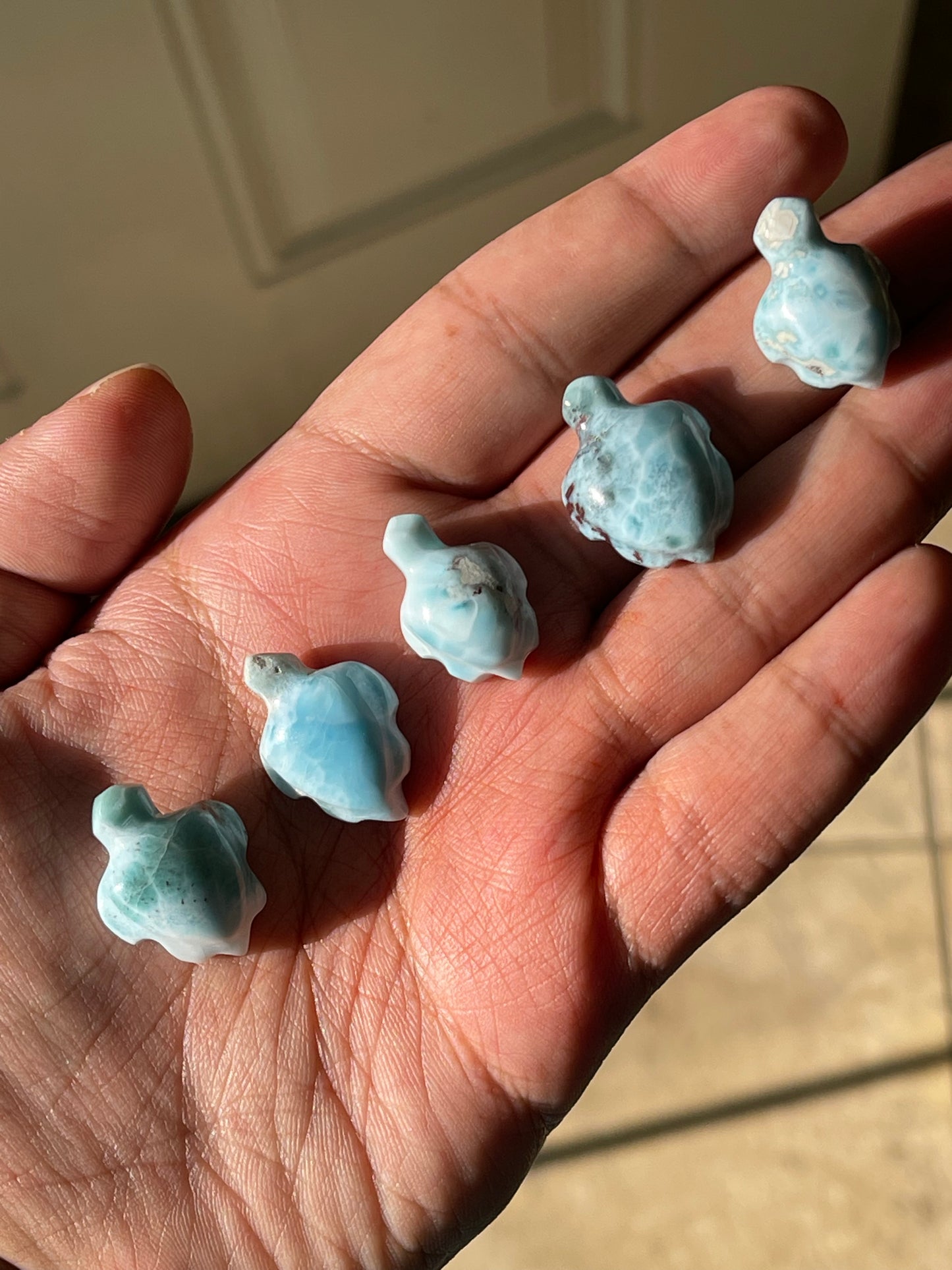 Larimar Turtles